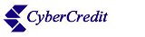 Cyber Credit
